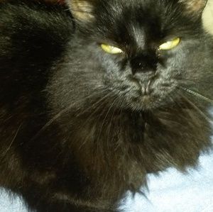 Meet your Posher, Teresa